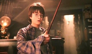 哈利波特中所有的魂器是什么（哈利波特中所有的魂器是什么）