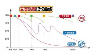 艾宾浩斯记忆法有用吗（艾宾浩斯记忆法能永久记忆吗）