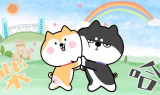 甜奶cp为啥叫甜奶 甜奶cp为啥叫甜奶粉