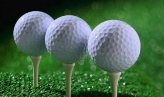 球都有什么种类 球都有什么种类,图片