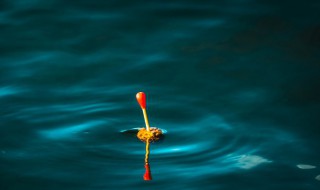 钓鱼最好用几号漂（钓鱼用几号漂合适）