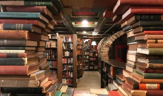 罪与罚主人公形象分析 罪与罚的人物塑造简述