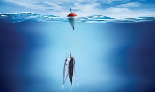 为什么大风天钓不到鱼（为什么大风天钓不到鱼呢）