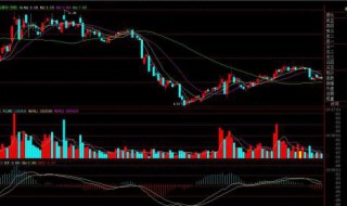证券投资基金和股票的不同（股票与证券投资基金的区别）