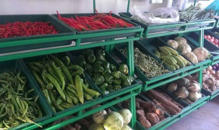 蔬菜营业执照范围（蔬菜营业执照范围大全）