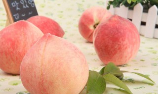 桃子的功效与作用桃子的吃法 讲一讲桃子的功效