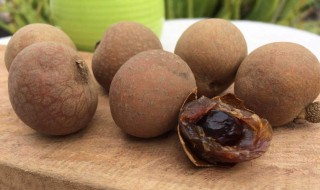 桂园干的功效与作用（桂园干的功效与作用?）