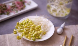 在家怎么发绿豆芽窍门（在家发绿豆芽的方法窍门）