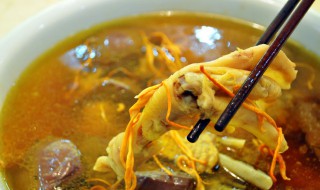 虫草花的功效与作（虫草花的功效与作用及营养）