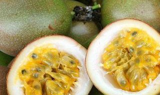 怎样催熟百香果（怎样催熟百香果更甜）