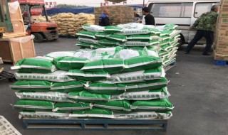 饲料概略养分评价主要指标 饲料六大概略养分的概念