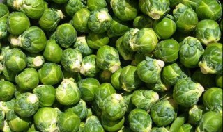 种什么蔬菜一亩4万元（种一亩蔬菜能赚多少钱）