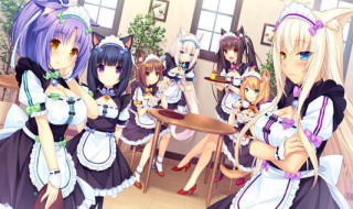 nekopara3怎么用手机玩 怎么在手机上玩nekopara