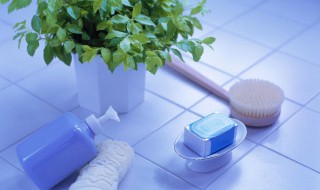 用沐浴露和牙膏怎么做起泡胶（如何用沐浴露和牙膏做起泡胶）