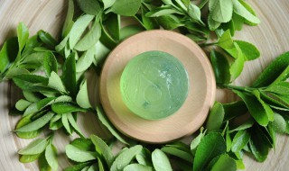 茶树精油有什么功效 茶树精油的效果