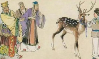 指鹿为马指的是谁的故事（指鹿为马是关于谁的故事）