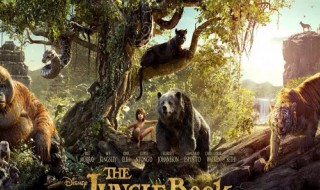 森林探险电影有哪些好看 森林探险电影有哪些好看点