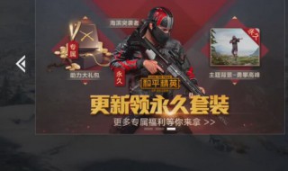 手游和平精英皮肤好抽吗 和平精英哪个皮肤最好抽