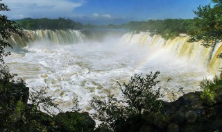 梦见黑龙在水里（梦见黑龙在水里是什么意思）