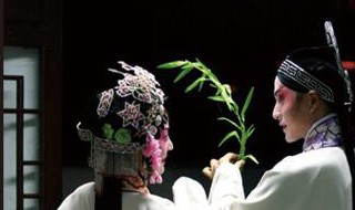 牡丹亭简介（戏剧牡丹亭简介）