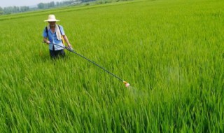 水稻一亩打多少L农药水 水稻农药每亩用量