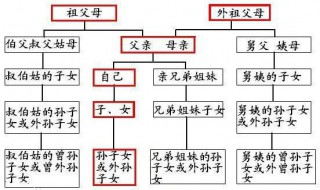 直系亲属包括哪些人（什么是直系亲属 直系亲属包括哪些人）