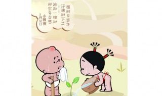 怎样使用手机主题壁纸不收钱 不花钱的手机壁纸主题