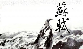 苏轼词的特质及其在词史上的贡献（简述苏轼对词的贡献有哪些）