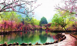 作者是怎样描绘桃花源的?有怎样的用意? 桃花源的含义