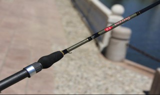 新手用什么调性的直柄路亚竿合适（直柄路亚竿怎么选长度）