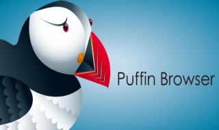 puffin怎么玩网页游戏（如何用puffin玩电脑游戏）