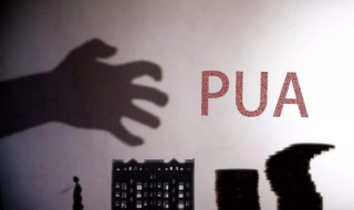 pua是什么意思（pua是什么意思网络用语）