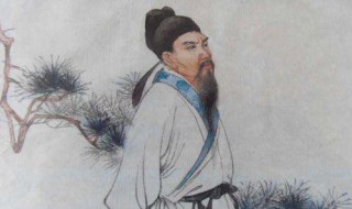 迟日江山丽的全诗意思（迟日江山丽的全诗意思是什么）