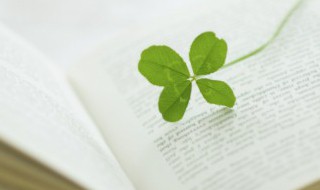 腊八粥课文中心是什么 腊八粥课文是什么结构