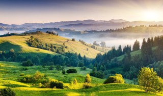 吟咏节令景色是春天景色吗（这首诗吟咏的是什么时节的景物）