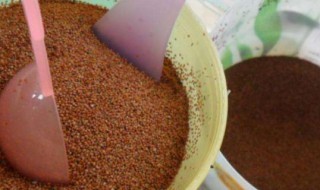 海藻面膜是清洁的还是补水的（海藻面膜和清洁面膜区别）