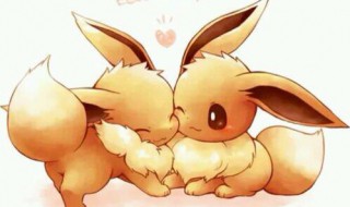 伊布怎么进化成神圣精灵 伊布怎么进化成仙子精灵?