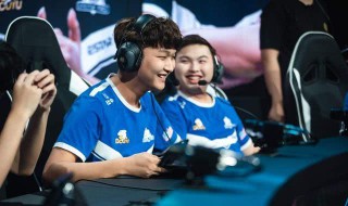 流浪猫神帐号为什么封号 猫咪为什么封号