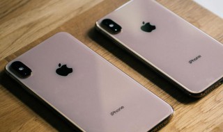 苹果手机开发者选项在哪里（苹果手机开发者选项在哪里调试）