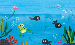 蝌蚪是怎么变成青蛙的 蝌蚪是怎么变成青蛙的请画一画再用自己的话说一说