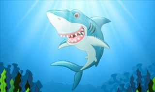 好看的鲨鱼电影有哪些 好看的鲨鱼电影有哪些名字