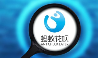 蚂蚁花呗能在实体店一次付款一千不 花呗实体店能付10000吗