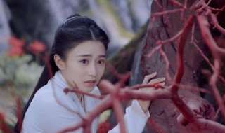 橘诺的孩子是不是夫子的 橘诺和夫子的孩子呢