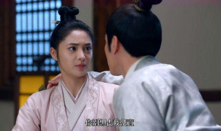 苏伏喜欢的人是谁（苏伏的首领是谁）