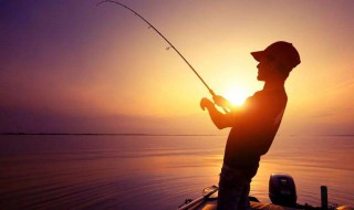 枸杞钓鲫鱼配方 枸杞钓鲫鱼配方大全