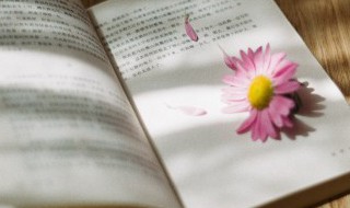 《盛世梨花殿》小说名字叫什么 《盛世梨花殿》小说名字叫什么