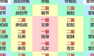 怎么算出五服（家族怎么算出五服）