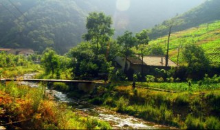 墨绿色长款开衫搭配（墨绿色长款开衫搭配什么衣服）