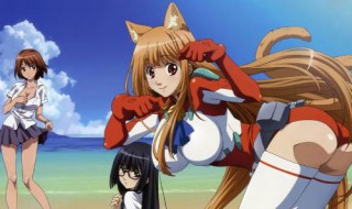 《玩伴猫耳娘》漫画结局 玩伴猫耳娘结局是