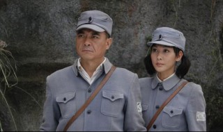 有卫国的独立连电视剧是什么电视剧（卫兵是哪个电视剧）